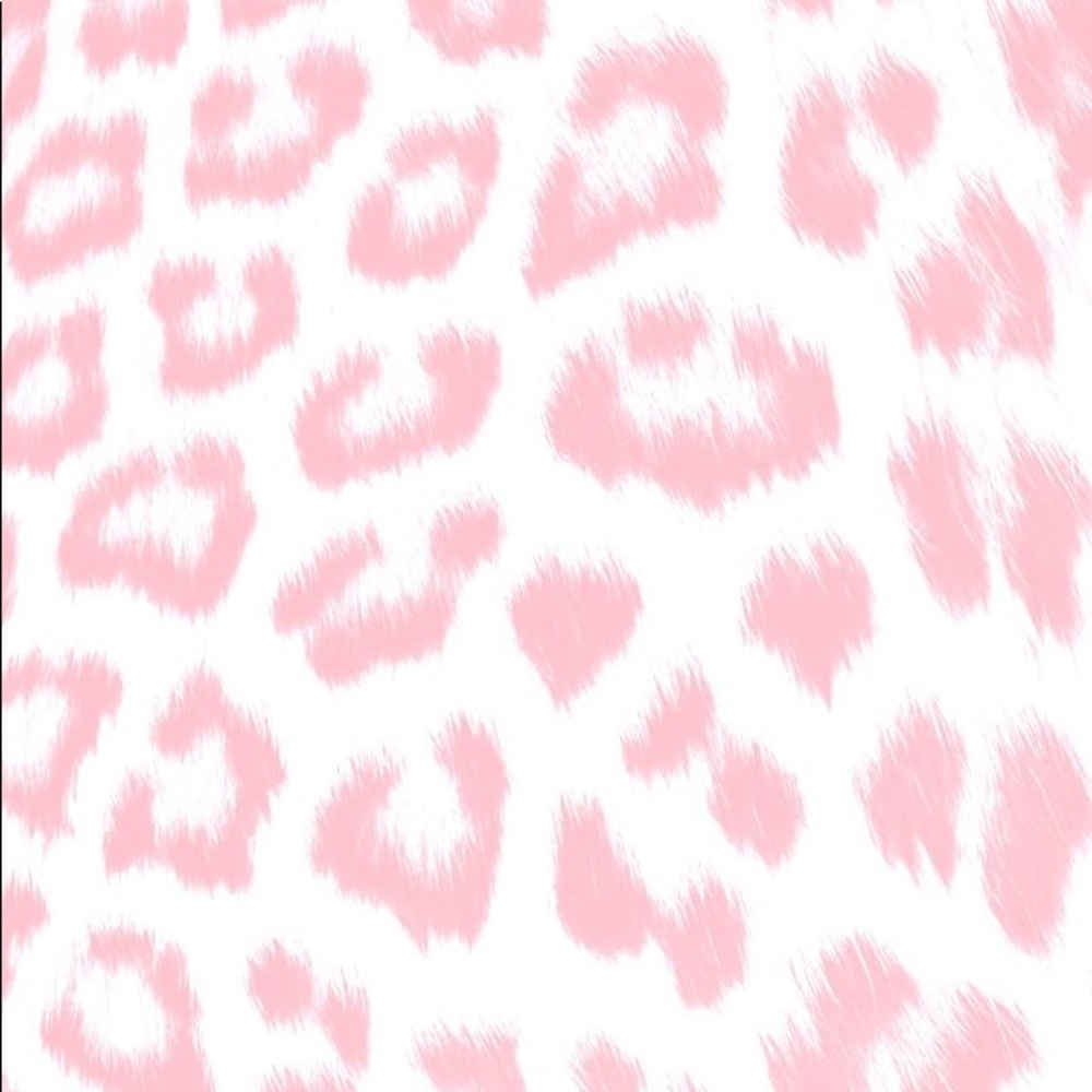 Meet your Posher, Mollie